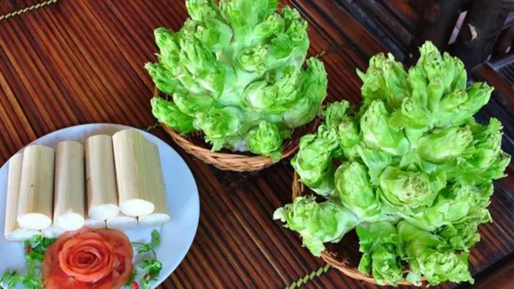 Rau Mầm Đá Là Gì? Cách Chọn Mua, Bảo Quản Và Nấu Ăn Ngon