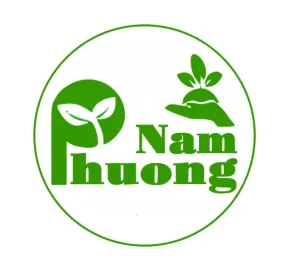 Công Thức Nấu Ăn Từ Hoa Bí Đơn Giản, Ngon Miệng