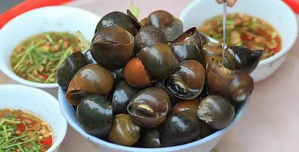 Món Ngon Từ Ốc Nhồi