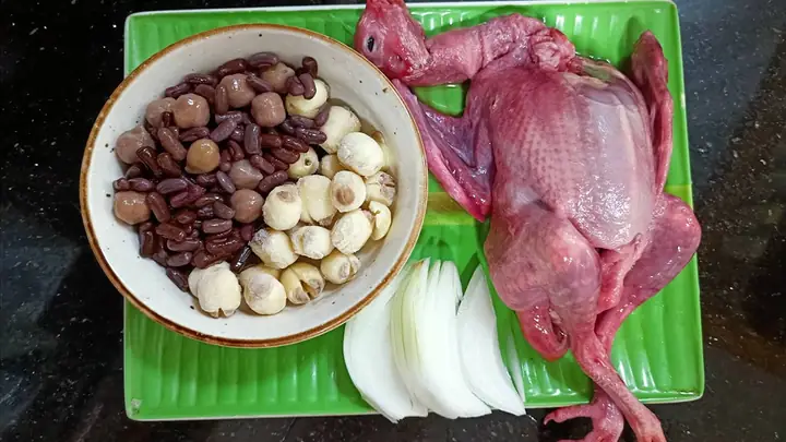 Mua Bồ Câu Hầm Ở Đâu