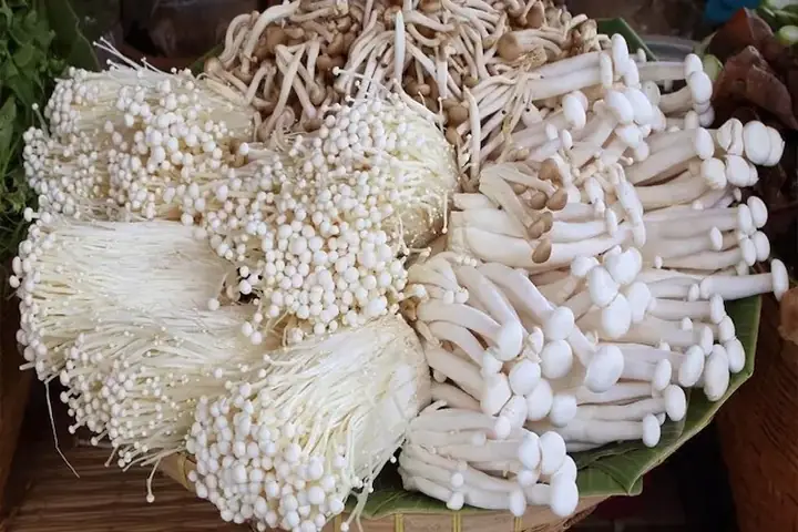 Nấm Kim Châm Để Tủ Lạnh Được Bao Lâu: Bí Quyết Giữ Giòn Tươi Ngọn