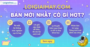 Nguyên Liệu Làm Bánh Tét Chuẩn Vị: Tỷ Lệ, Cách Chọn Và Mẹo Hay