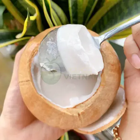 Top 7 Nơi Bán Rau Câu Trái Dừa Ngon Uy Tín Nhất