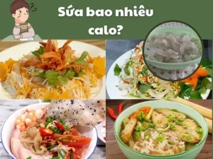 Nộm Sứa Bao Nhiêu Calo? Phân Tích Chi Tiết Và Lời Khuyên
