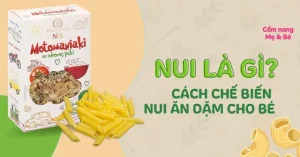Nui Làm Từ Gì? Nguyên Liệu & Quy Trình Sản Xuất Chi Tiết