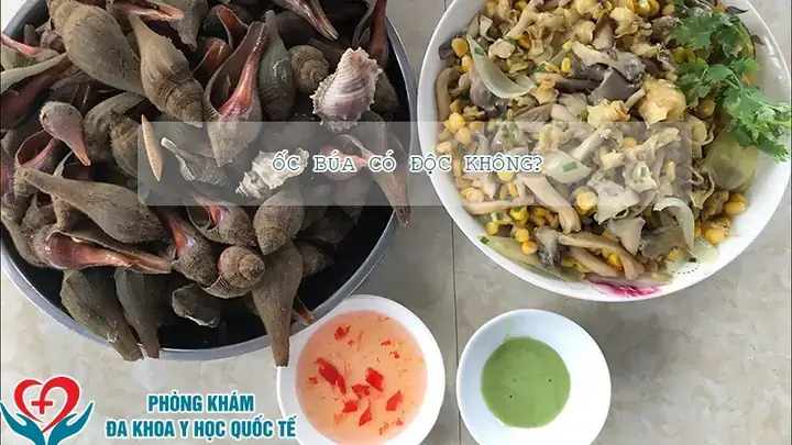 Cách Chế Biến Ốc Búa Ngon: 5 Kỹ Thuật Vàng Để Tối Ưu Hương Vị