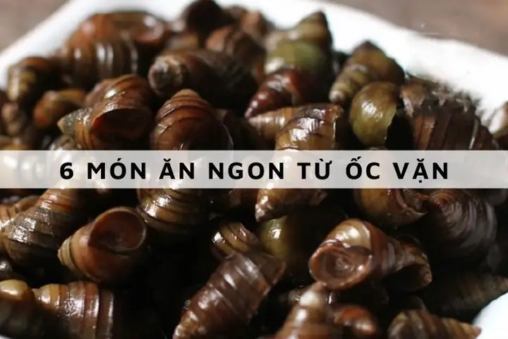 Ốc Vặn Là Gì? Hướng Dẫn 6 Món Ngon Từ Loài Ốc Nước Ngọt