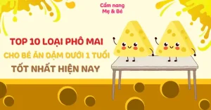 Phô Mai Cho Bé 1 Tuổi: Hướng Dẫn Toàn Tập Về Dinh Dưỡng, Lựa Chọn Và Cách Dùng An Toàn