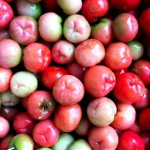 Quả Sơ Ri Miền Nam