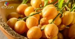 Quất Hồng Bì Cho Bà Bầu: Hướng Dẫn An Toàn Và Lợi Ích Thực Tế