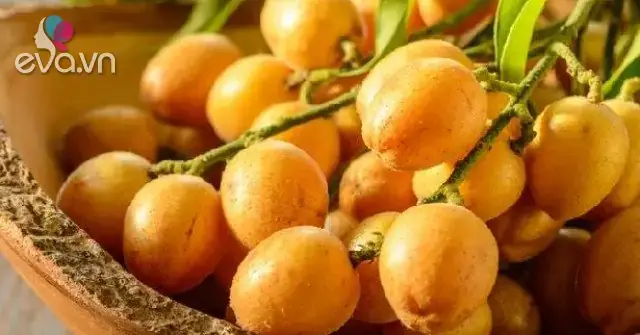 Quất Hồng Bì Cho Bà Bầu: Hướng Dẫn An Toàn Và Lợi Ích Thực Tế
