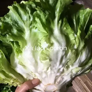 Rau Xà Lách Giòn Đà Lạt: Bí Quyết Chọn Mua, Bảo Quản & Nấu Ăn Chuẩn Vị