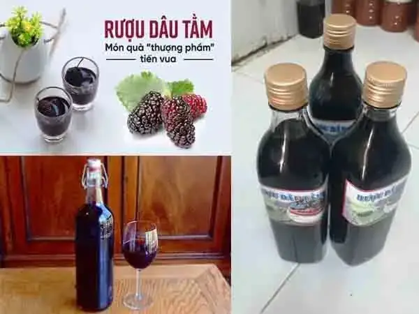 Rượu Dâu Tằm Đà Lạt: Bảng Đánh Giá Chi Tiết 5 Thương Hiệu Uy Tín Nhất