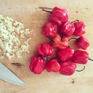 Cách Làm Sốt Ớt Scotch Bonnet Tại Nhà: Công Thức Chi Tiết & Mẹo Vàng