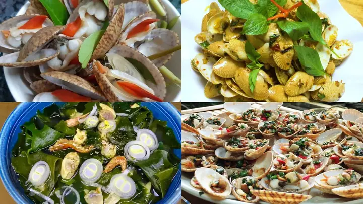 Sò Lụa Làm Món Gì Ngon? 10 Công Thức Đơn Giản Đảm Bảo Thơm Ngon