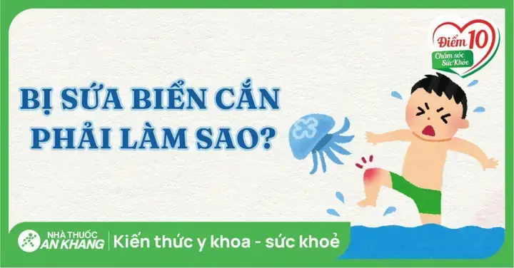Sứa Biển Làm Gì Ăn