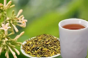 Tác Dụng Của Hoa Đu Đủ Đực Hấp Mật Ong Và Cách Dùng An Toàn