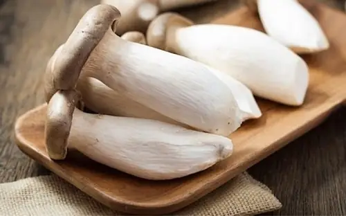 Top 15 Loại Nấm Ăn Lẩu Ngon, Dễ Tìm Và Bổ Dưỡng Nhất