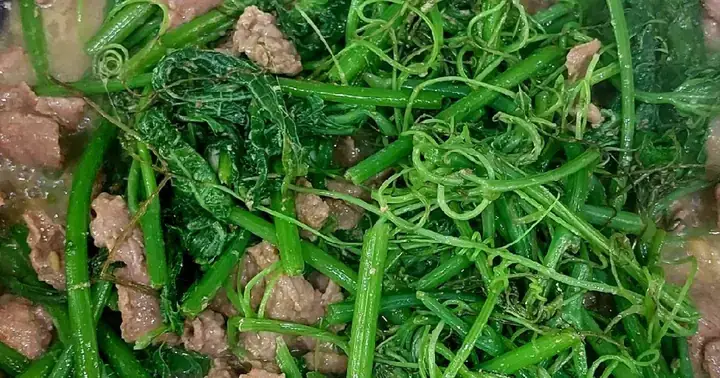 Thịt Trâu Xào Ngọn Su Su Thịt Trâu Xào Ngọn Su Su