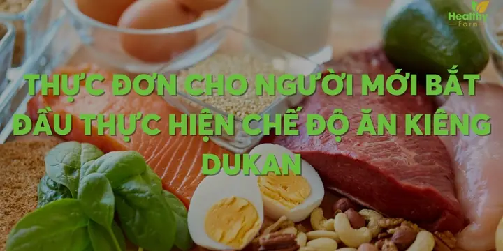 Thực Đơn Das Cho Người Mới Bắt Đầu