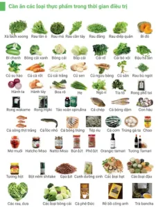 Thực Đơn Thực Dưỡng Hiện Đại
