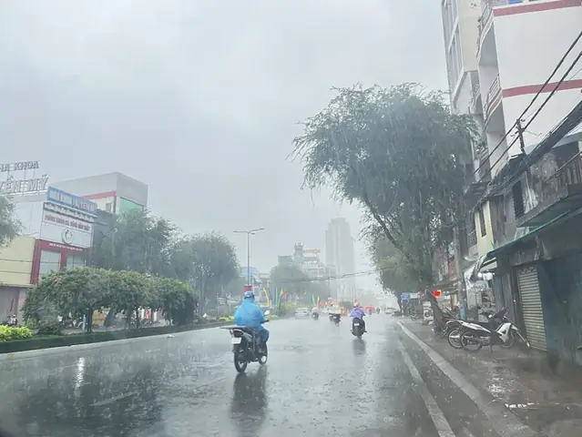Trà Sâm Thốt Nốt Mua Ở Đâu