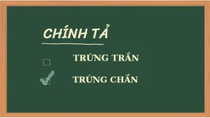 Trứng Chần Chuẩn Vị: Hướng Dẫn Chi Tiết Từ A-z Về Kỹ Thuật Và Mẹo Vặt