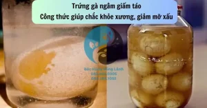 Hướng Dẫn Chi Tiết Cách Làm Trứng Gà Ngâm Giấm Nhật Bản Chuẩn Vị Tại Nhà