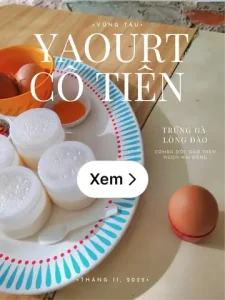 Review Trứng Gà Lòng Đào X Yaourt Cô Tiên Vũng Tàu: Combo Đơn Giản Nhưng Đầy Hấp Dẫn