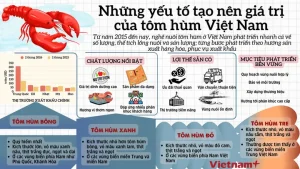 Viet Thao An Tom Hum