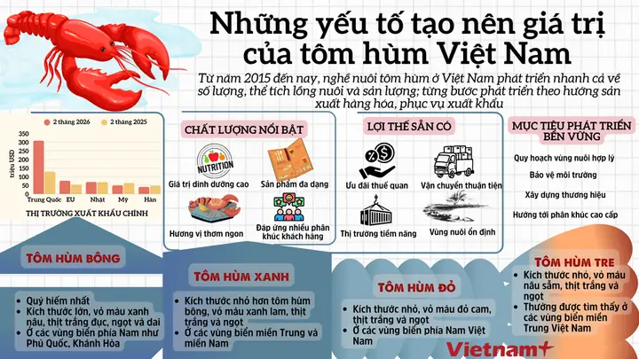 Viet Thao An Tom Hum