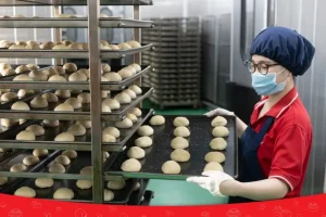 Vỏ Bánh Hamburger Thọ Phát